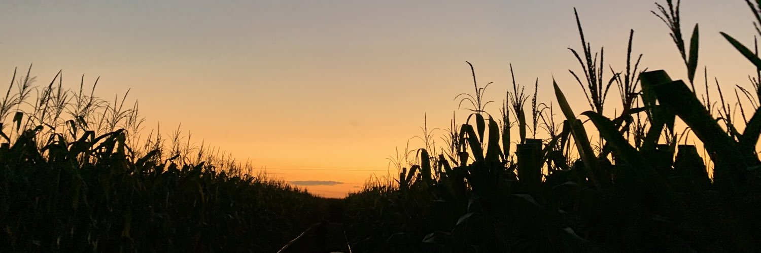_lmbraga's profile banner image
