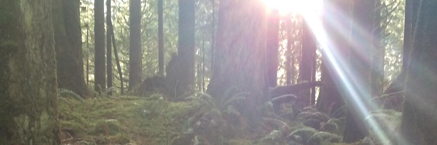 BoomTownBill's profile banner image