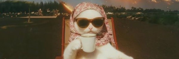 catnooff Profile Banner