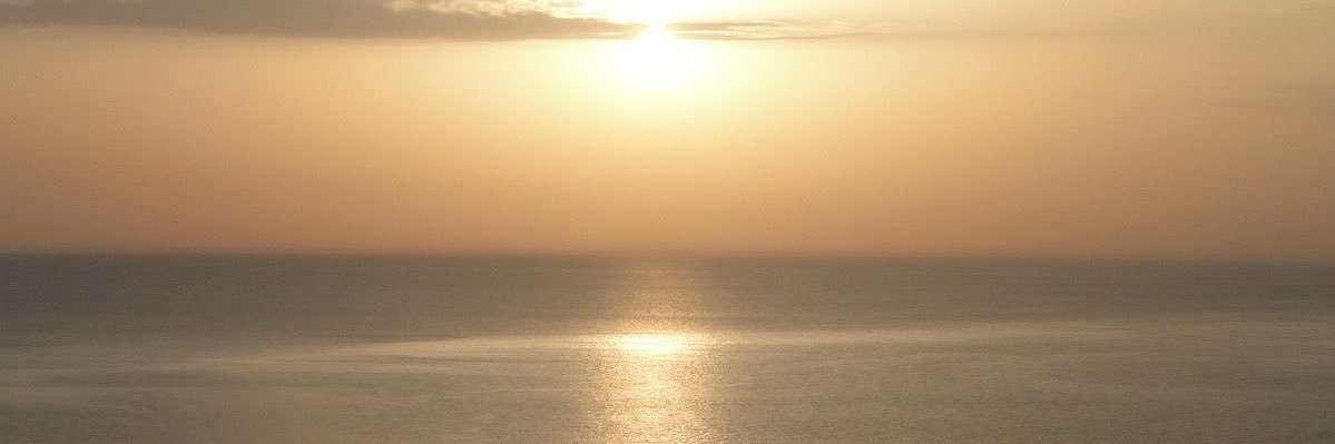 urrfavswan's profile banner image