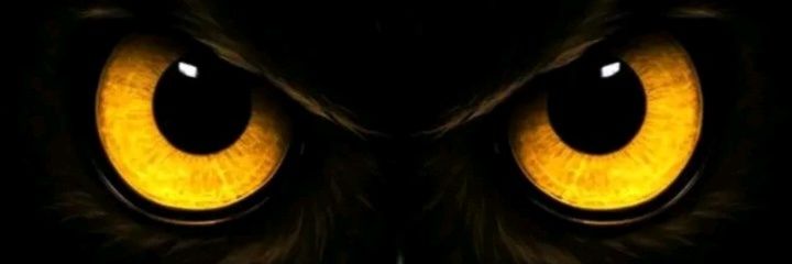 Ismail AZ banner