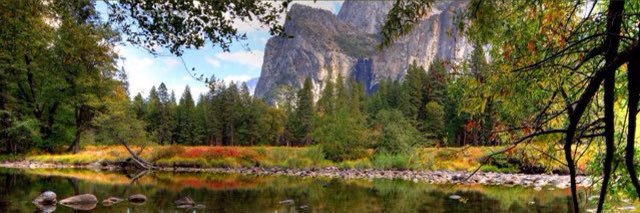 Chandler Schreefel banner