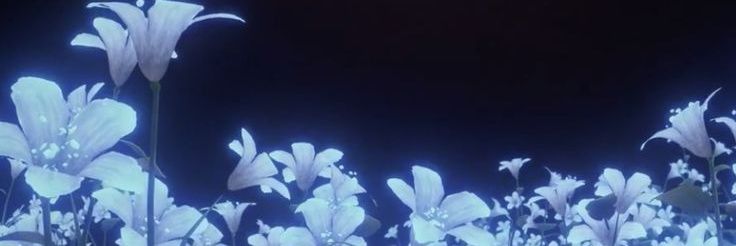 Kuzyet's profile banner image
