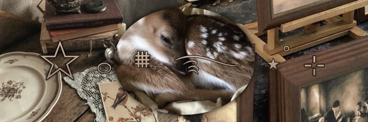 irldavidbowie's profile banner image