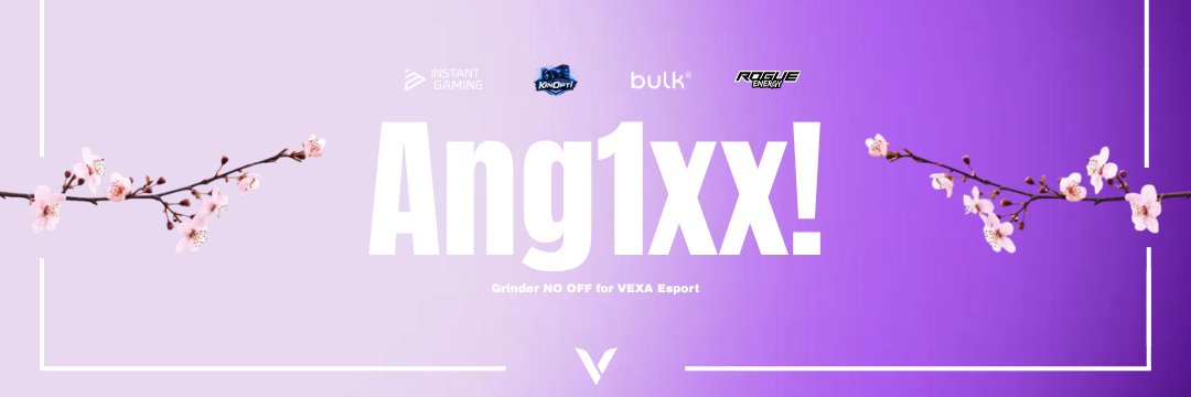 VEXA Ang1xx11k- banner