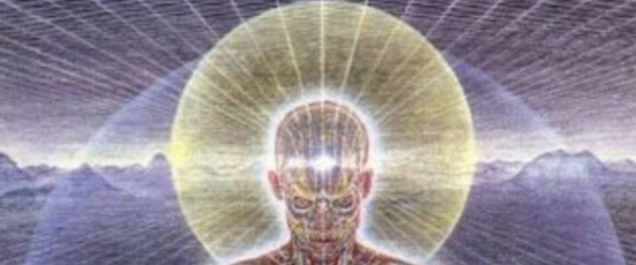 Mindful_Muse_'s profile banner image