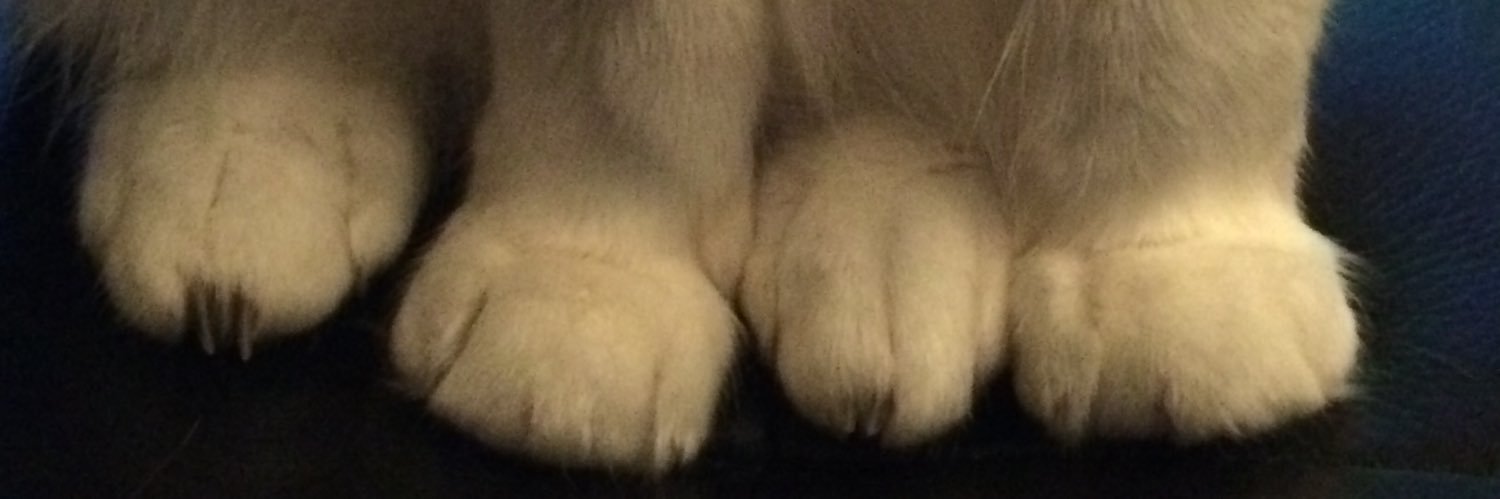 CaptinTom's profile banner image
