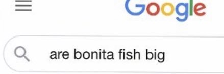 conchtoyou's profile banner image