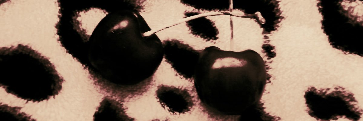 ‍ ‍ ‍𝚁𝙾𝙲𝙺 ‍ ‍ pri͟n͟c͟e͟ss. banner