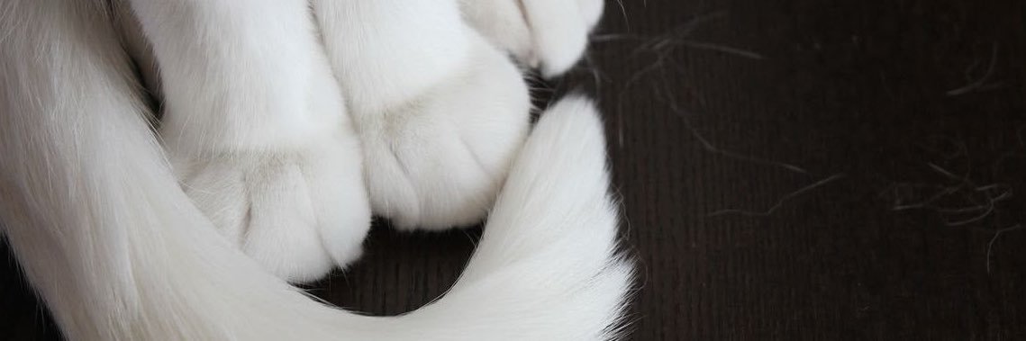 beczxw's profile banner image