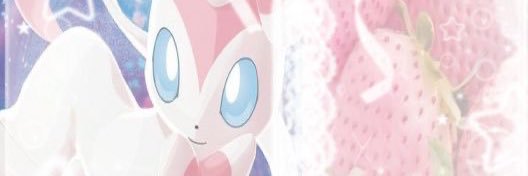 FINN 🩰 MDNI banner