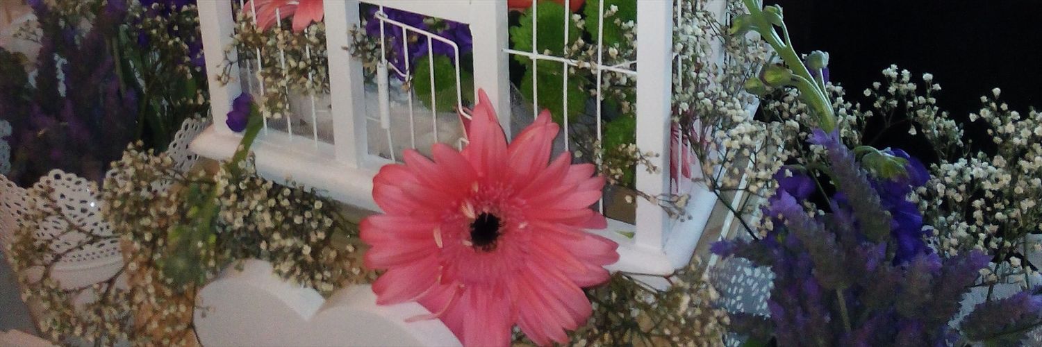 dalilamaiz's profile banner image
