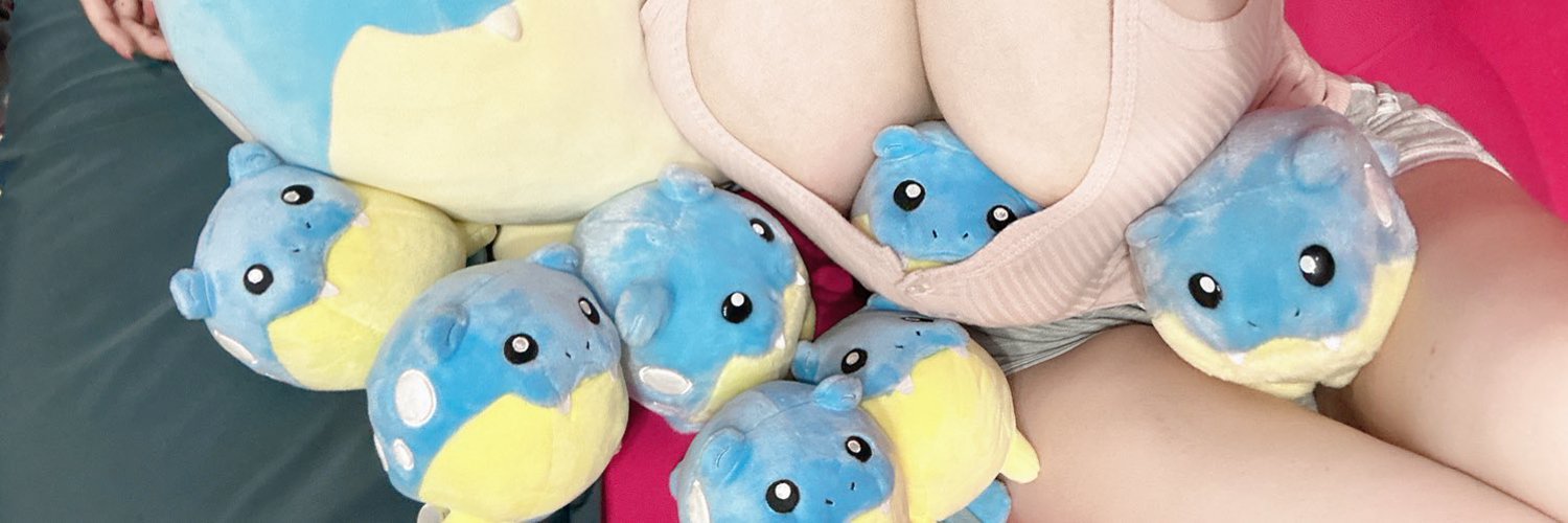 小猫抱 banner