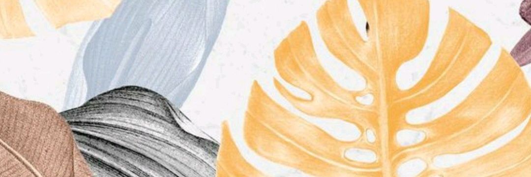 paolachs's profile banner image