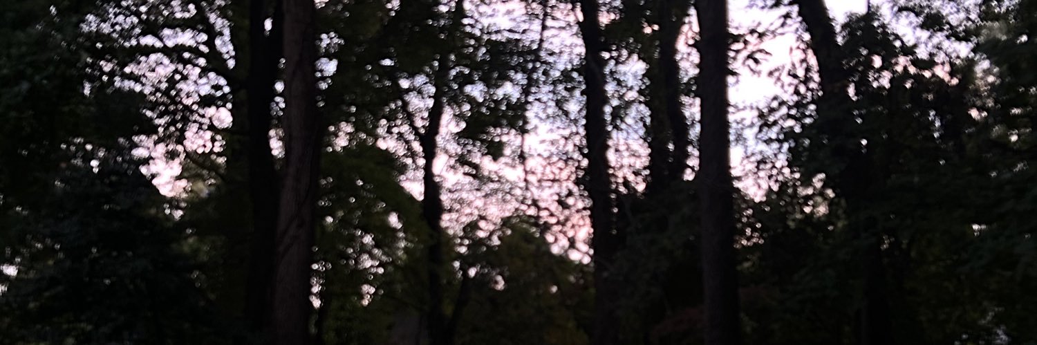 xox banner