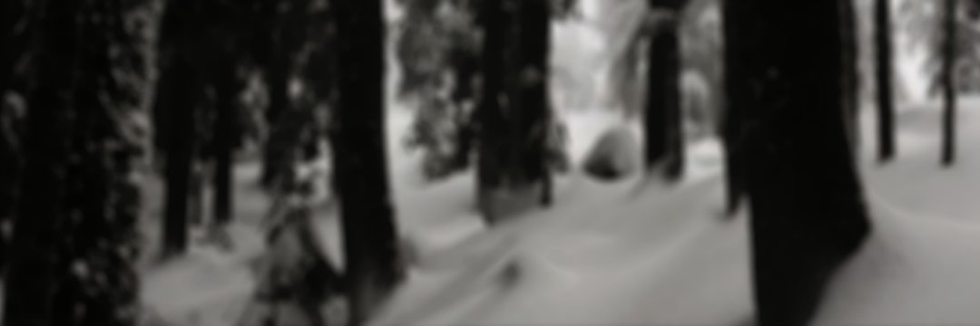 𝚈𝙾𝚄𝚁 𝙾𝙽𝙴 𝙰𝙽𝙳 𝙾𝙽𝙻𝚈… 𝚉𝙾𝚉𝙾. banner