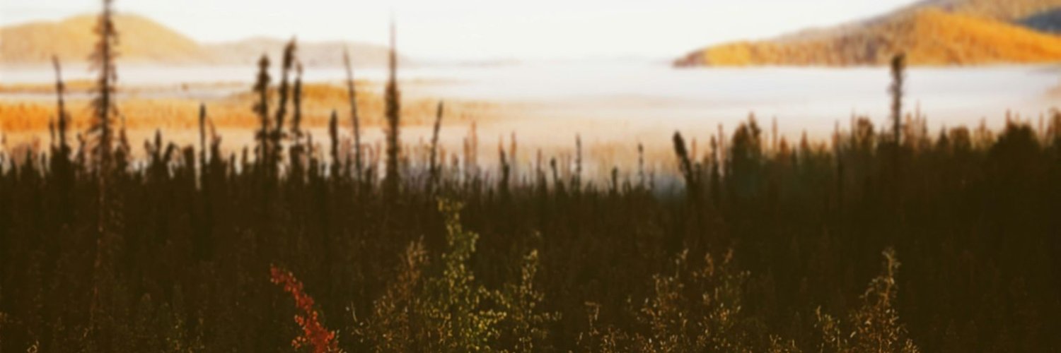 gitugitabuatapa's profile banner image