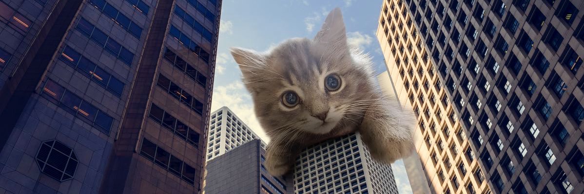 copnudles's profile banner image