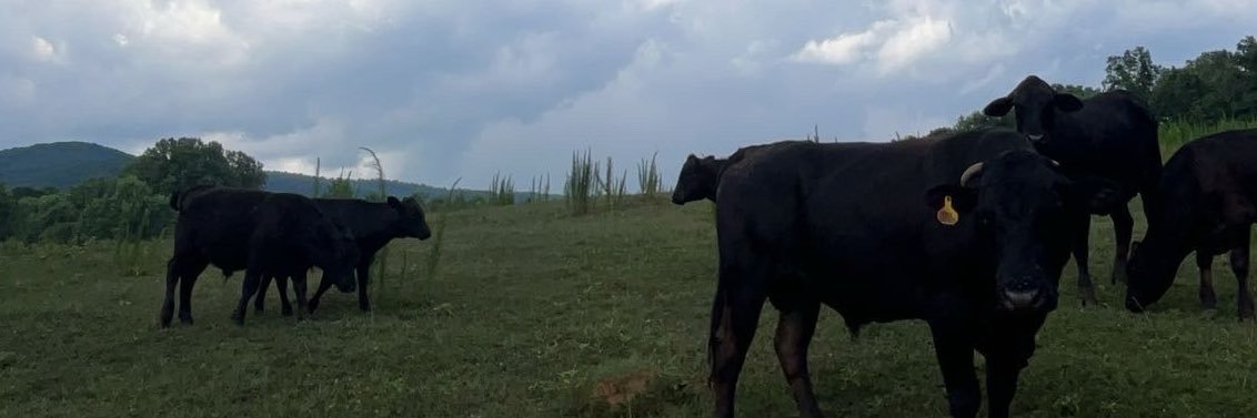 Zachc02's profile banner image