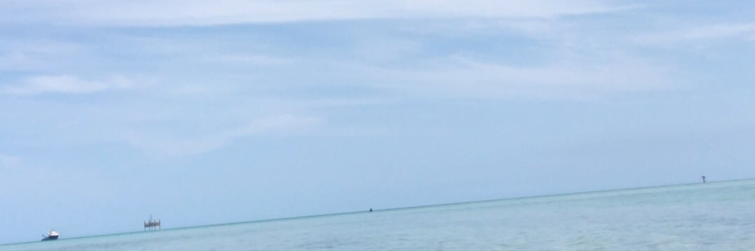 とめえええええち banner