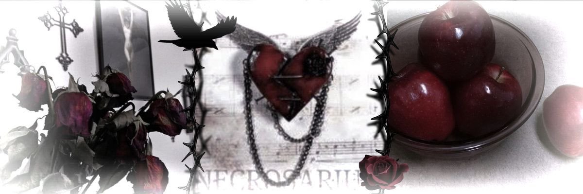 mangl3dslt's profile banner image