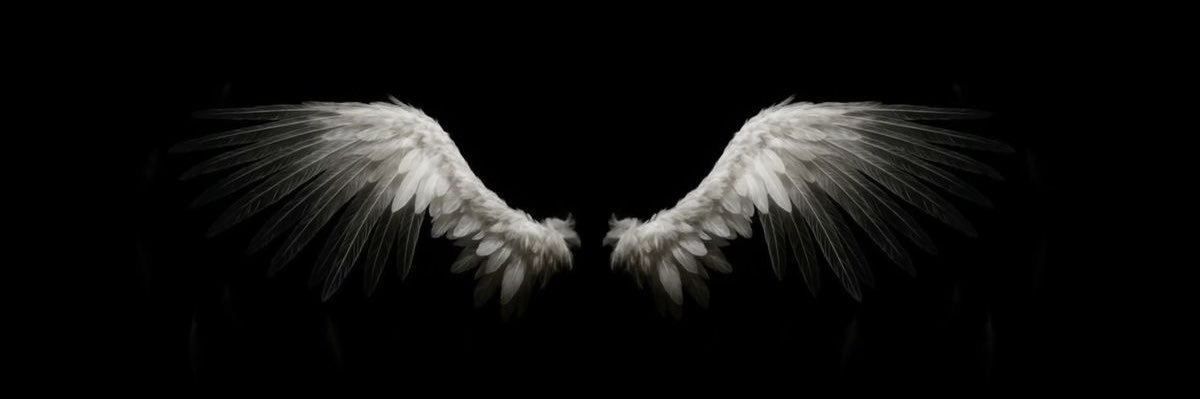 aleks banner