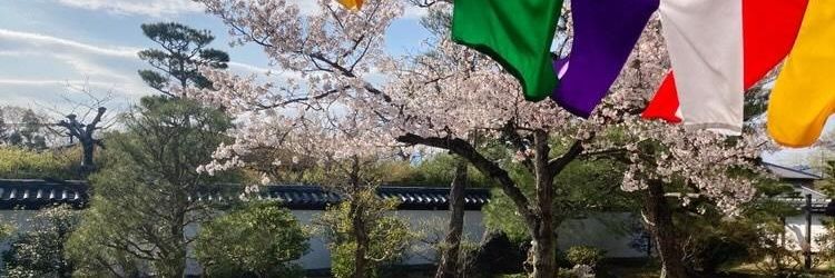 yushimaruwryy's profile banner image
