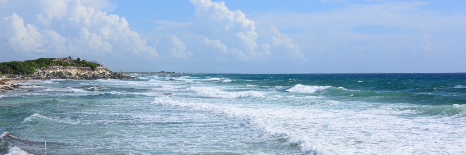 𝗗𝗿ℝ𝕚𝕫𝐑𝐞𝐬𝐩𝐞𝐜𝐭 banner