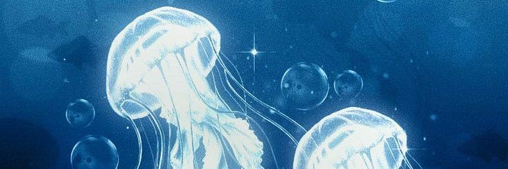 _lulau_1's profile banner image