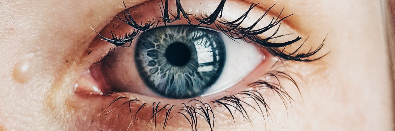 Lexa Orneter banner