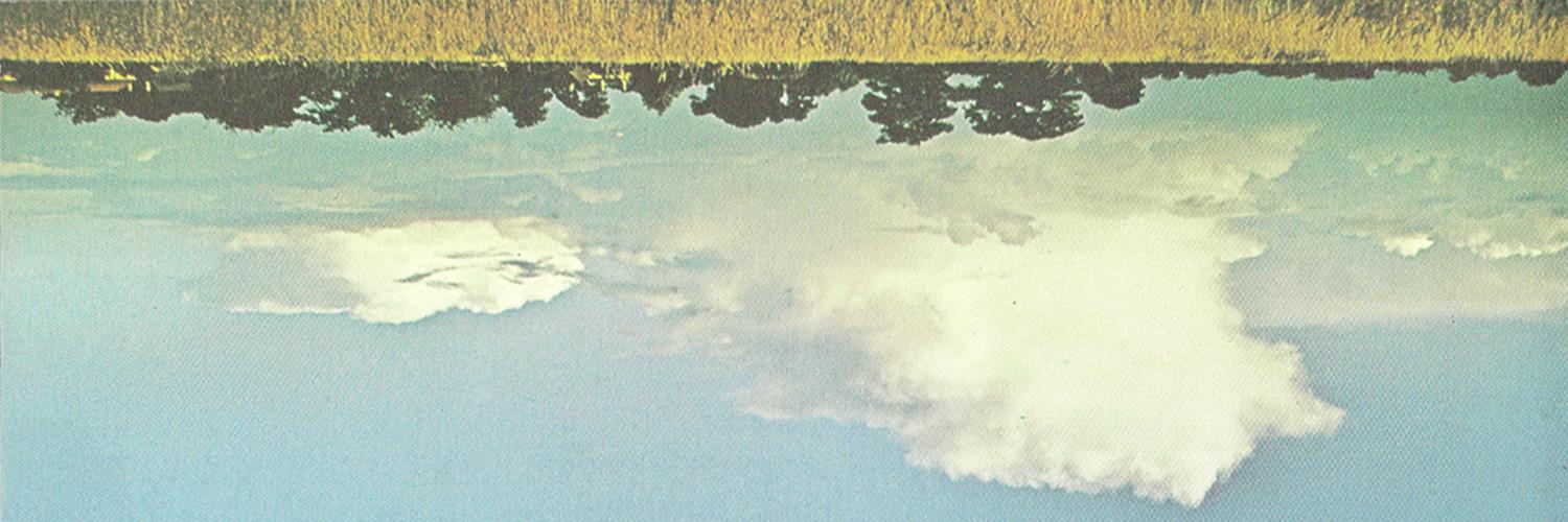 deetdetra's profile banner image