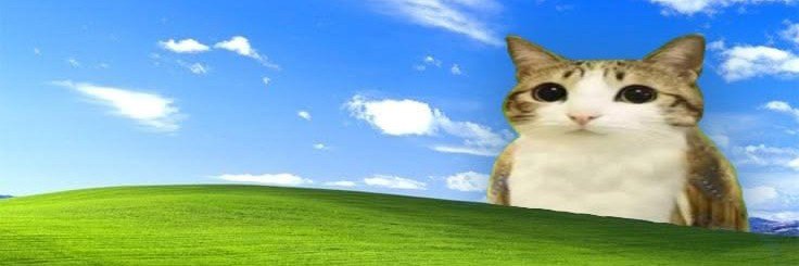 danylucerinamx's profile banner image