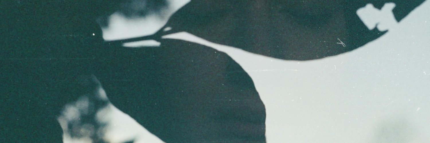 Dylan Dedein banner