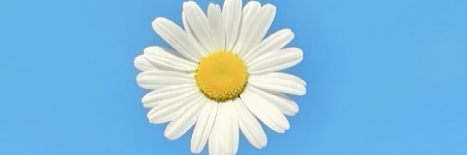 pearpatcha2534's profile banner image