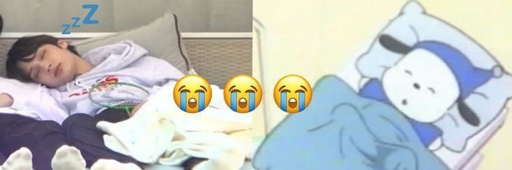 huptirik banner