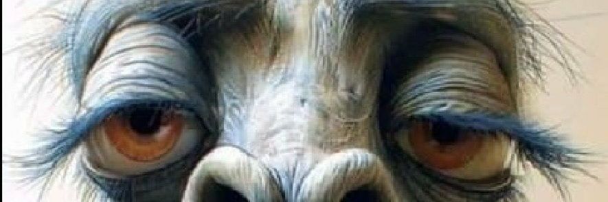 17 banner