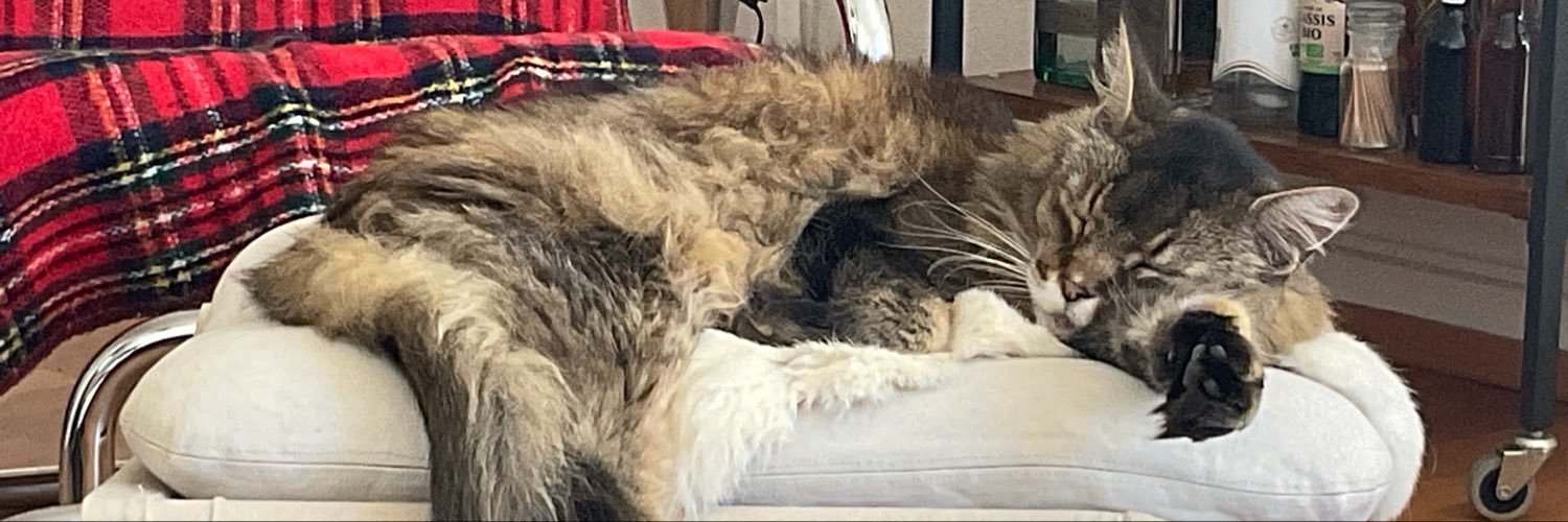 BestFriendsBB's profile banner image