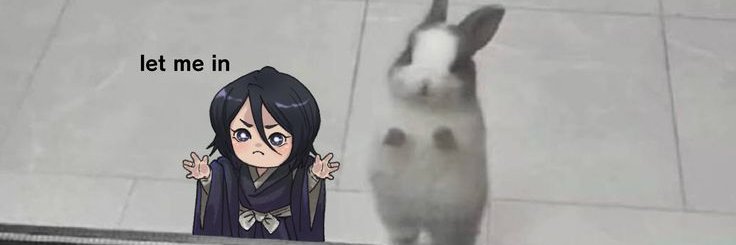 lazexzz's profile banner image