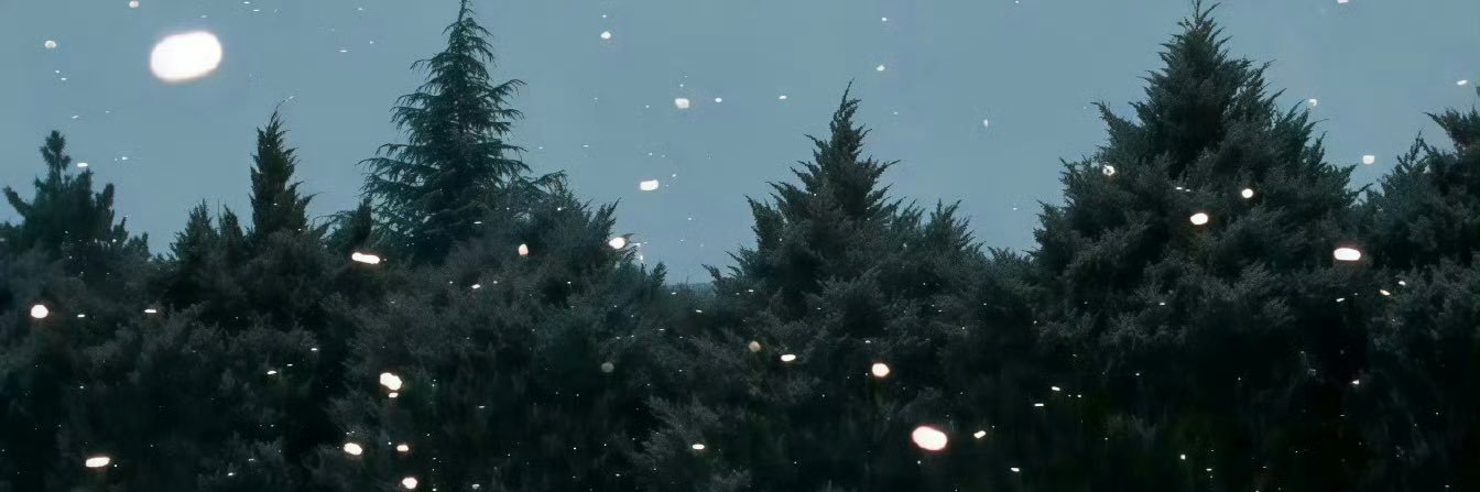 imnotkoala2's profile banner image