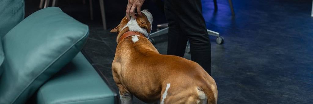 KASOA POLICE👮‍♀️ 🚔🚨 banner