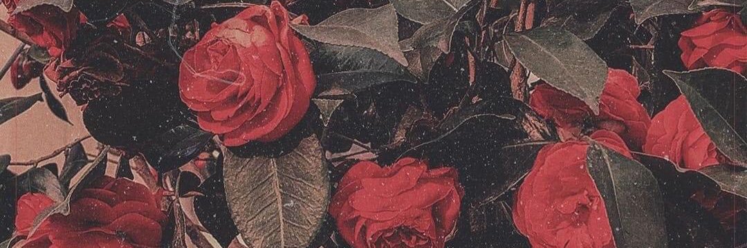 đ ï ē g õ 🔸 banner