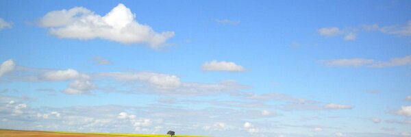 ElenaCasta Profile Banner