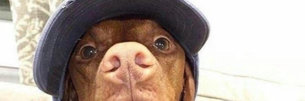 TravisJohnson banner