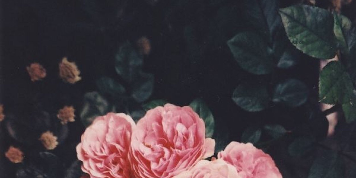 MattVaile's profile banner image