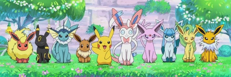 Aster Hubbard banner