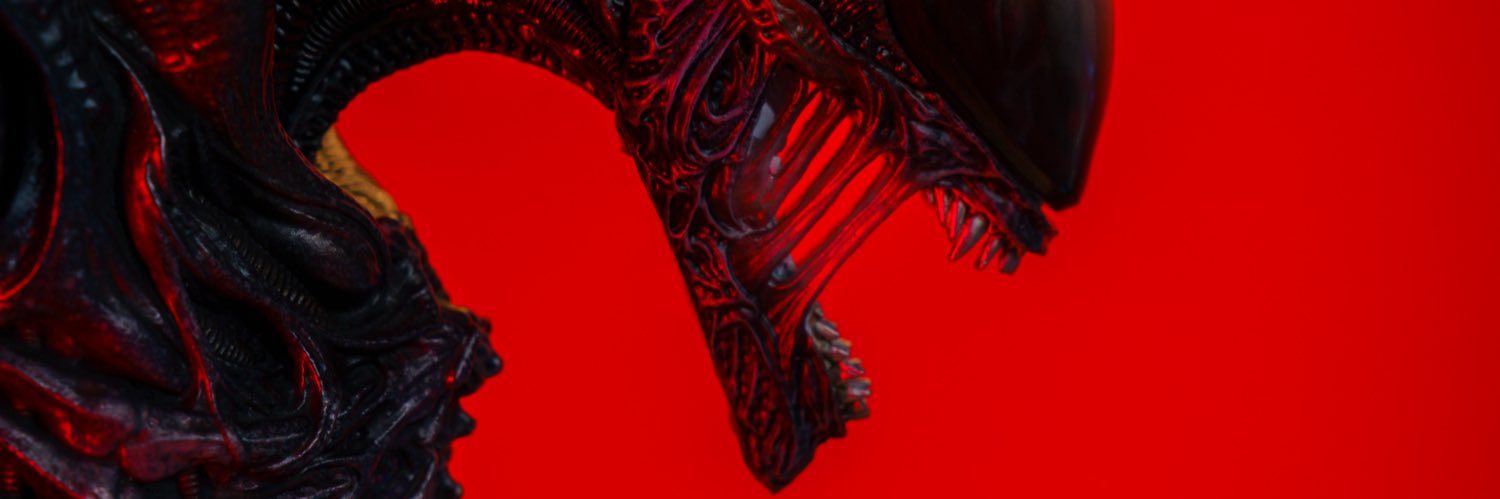 MEILIPAPA banner