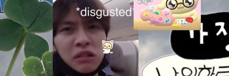 minnyan_25's profile banner image
