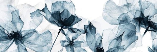 focusbyniki Profile Banner