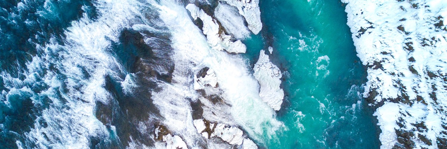 Felicity McLean banner