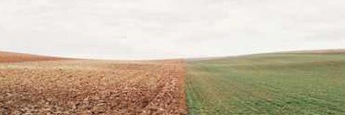 we8879932053253's profile banner image